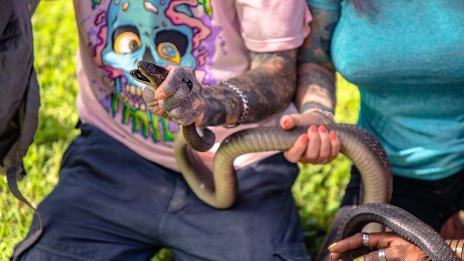Au royaume des serpents