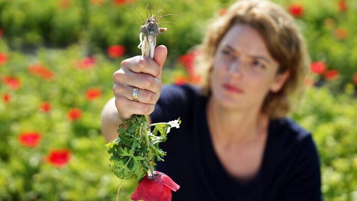 Invasive Fungal Infections - The New Threat