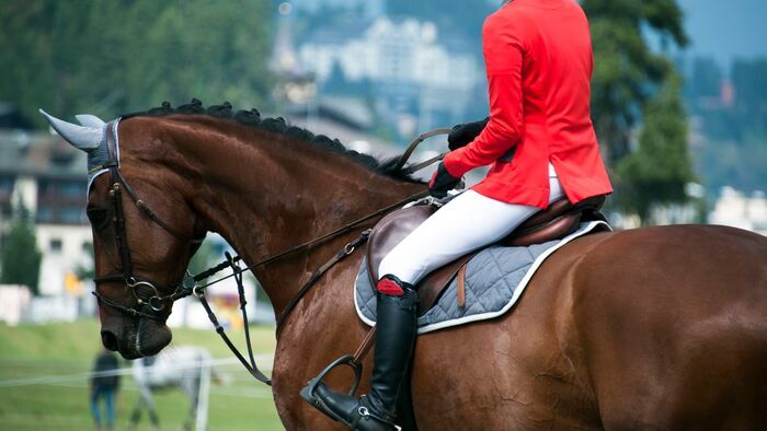 Ride FEI Originals