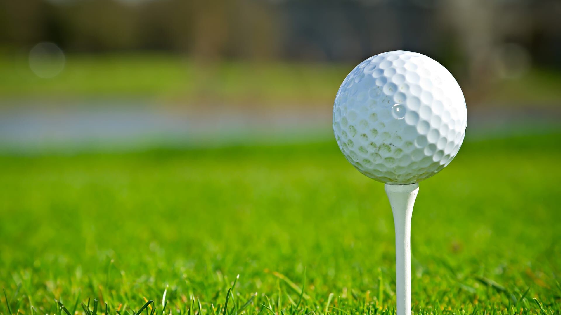 Golf : Championnat PGA australien