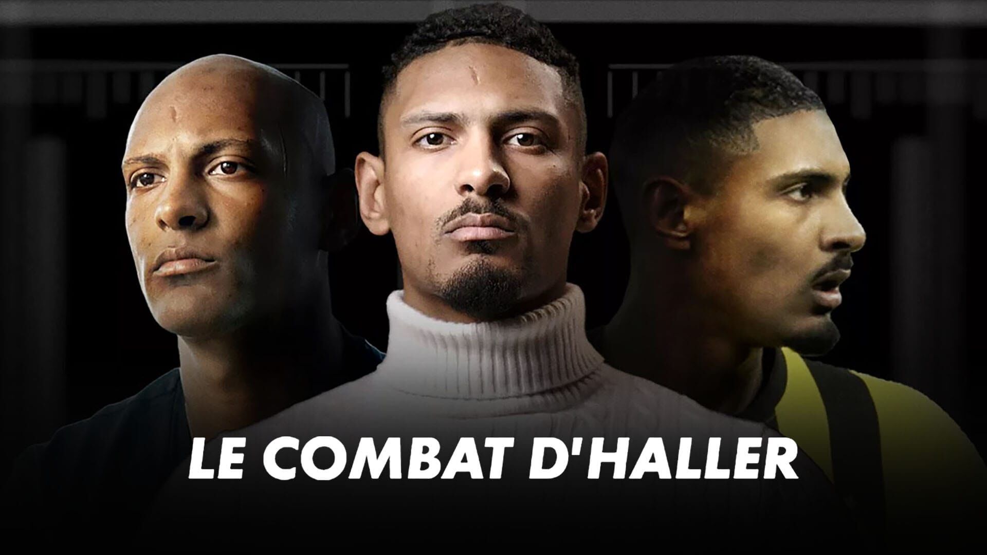 Le combat d'Haller