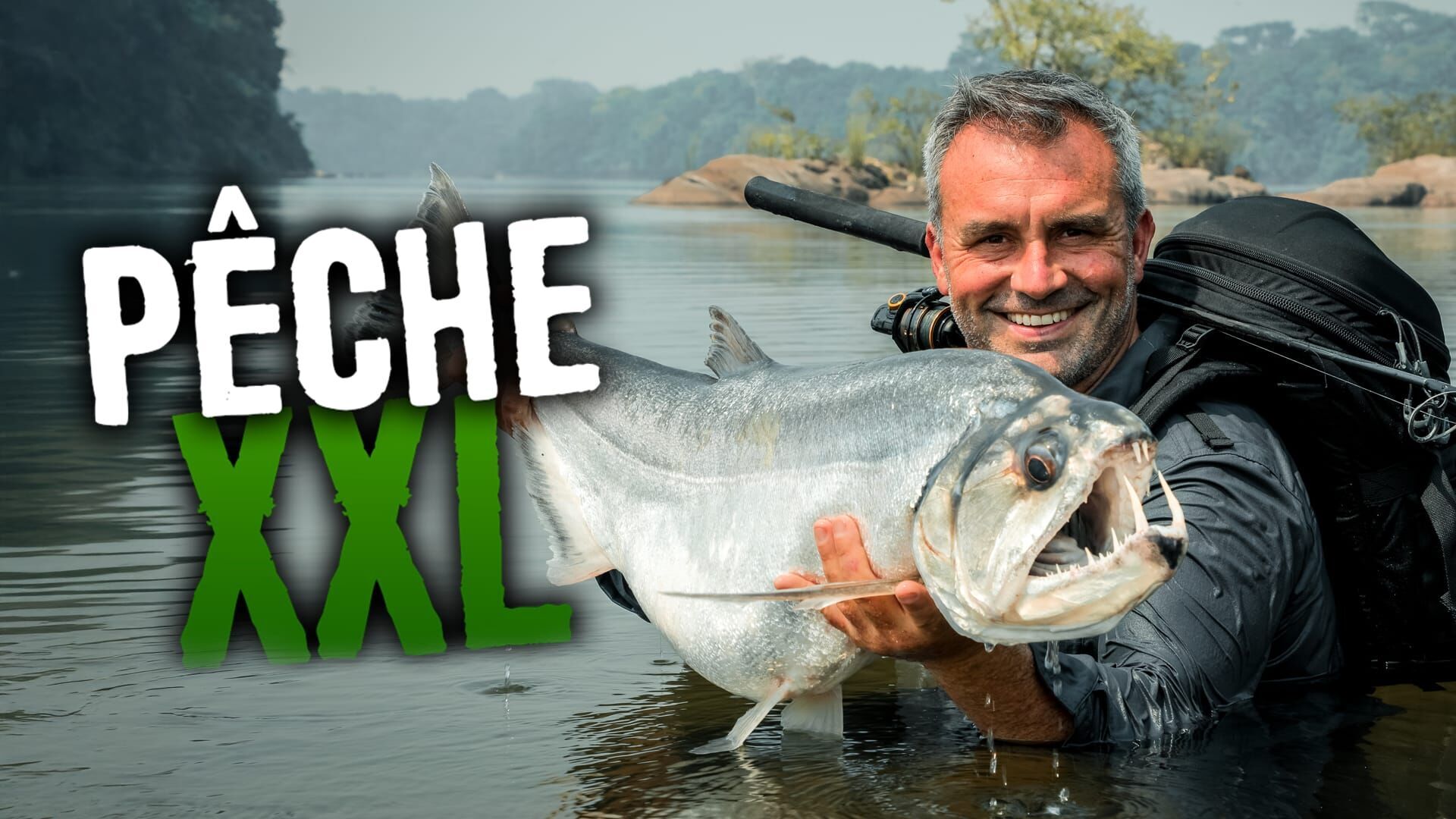 Une bête sans merci en plein coeur de Paris