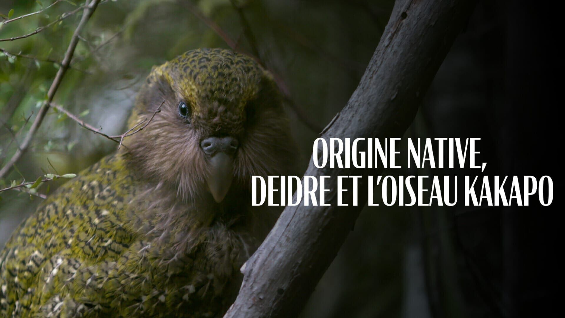 Origine native, Deidre et l'oiseau Kakapo