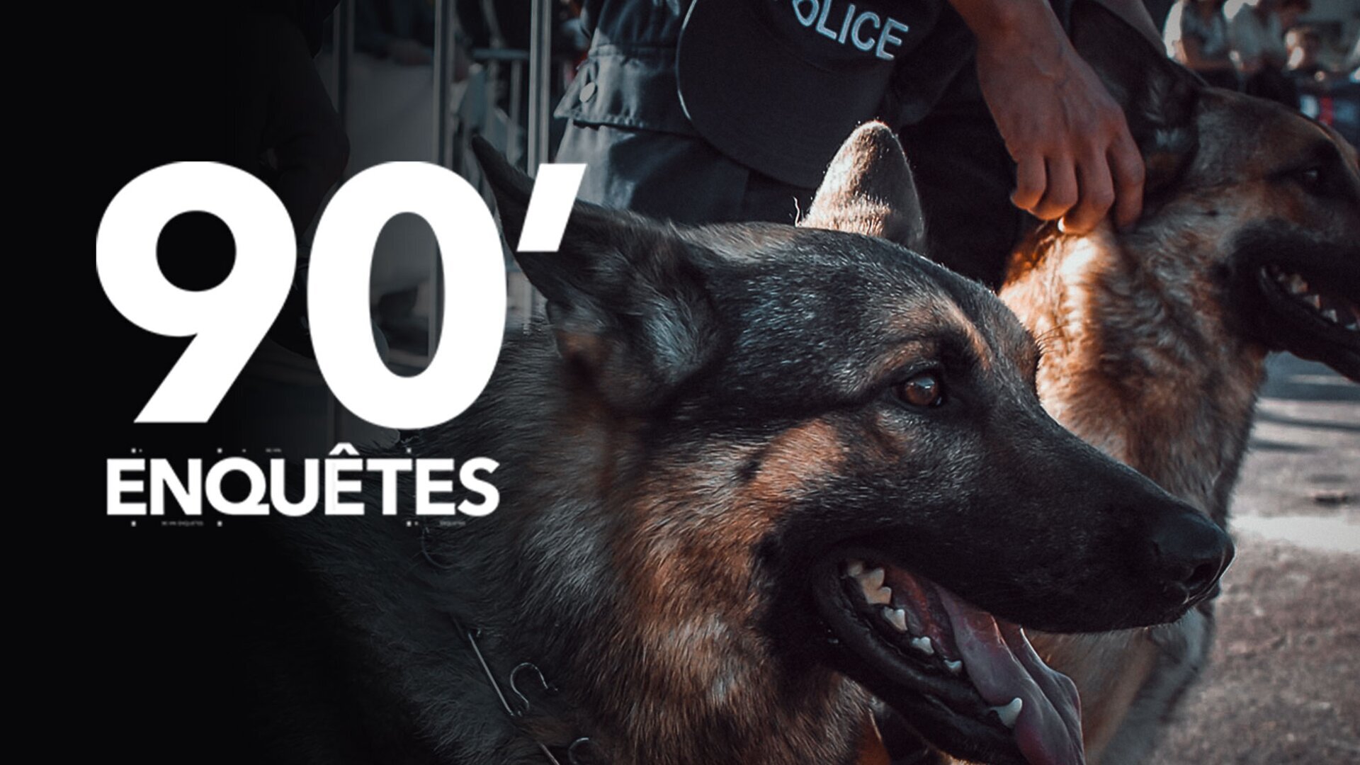 Chauffards, cambrioleurs et tireur fou : pas de répit pour les gendarmes du Sud