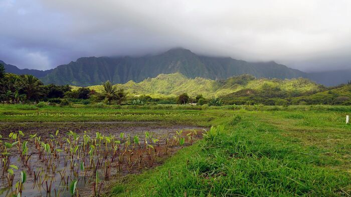 Oahu