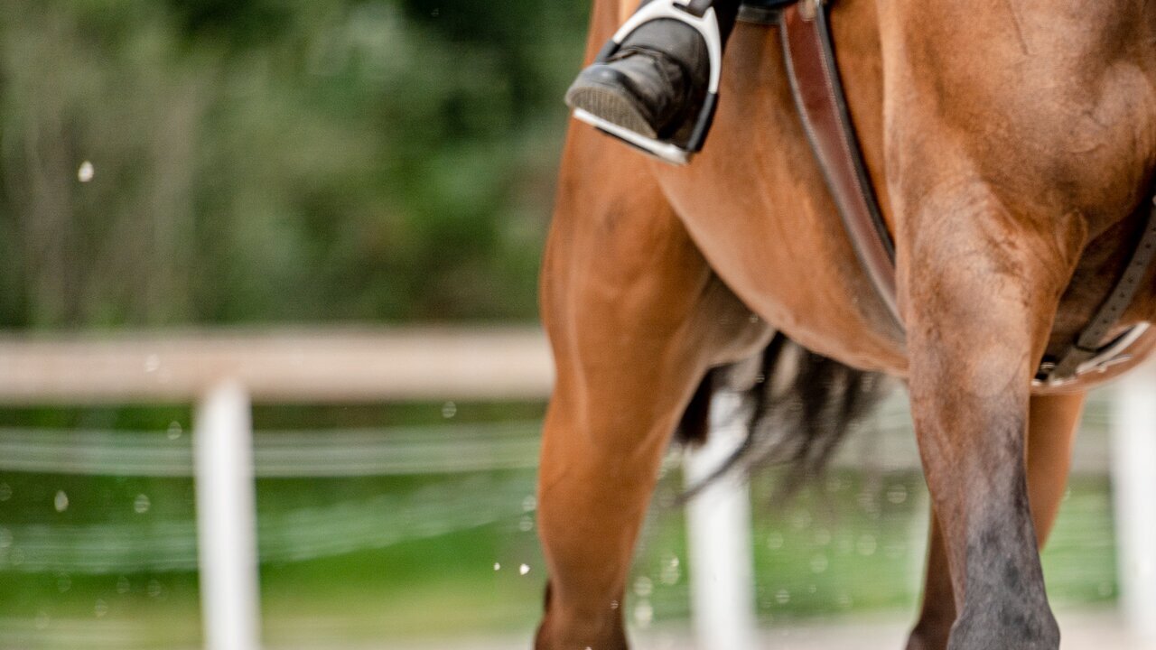 Equitation : Global Champions Tour