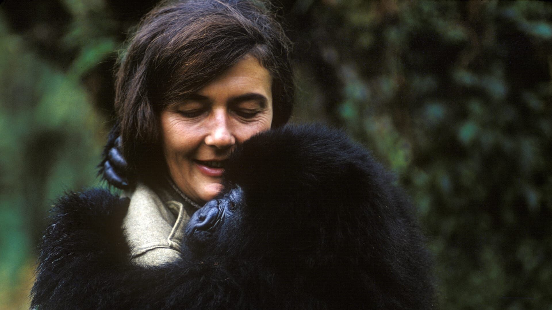 Gorilla Girl