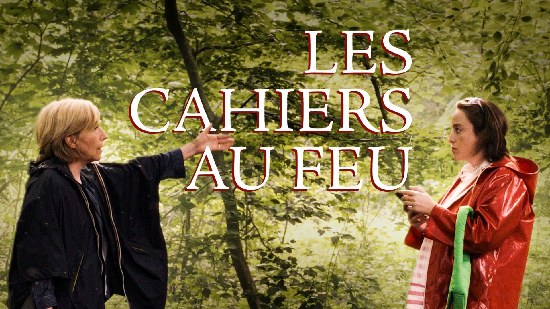 Les cahiers au feu