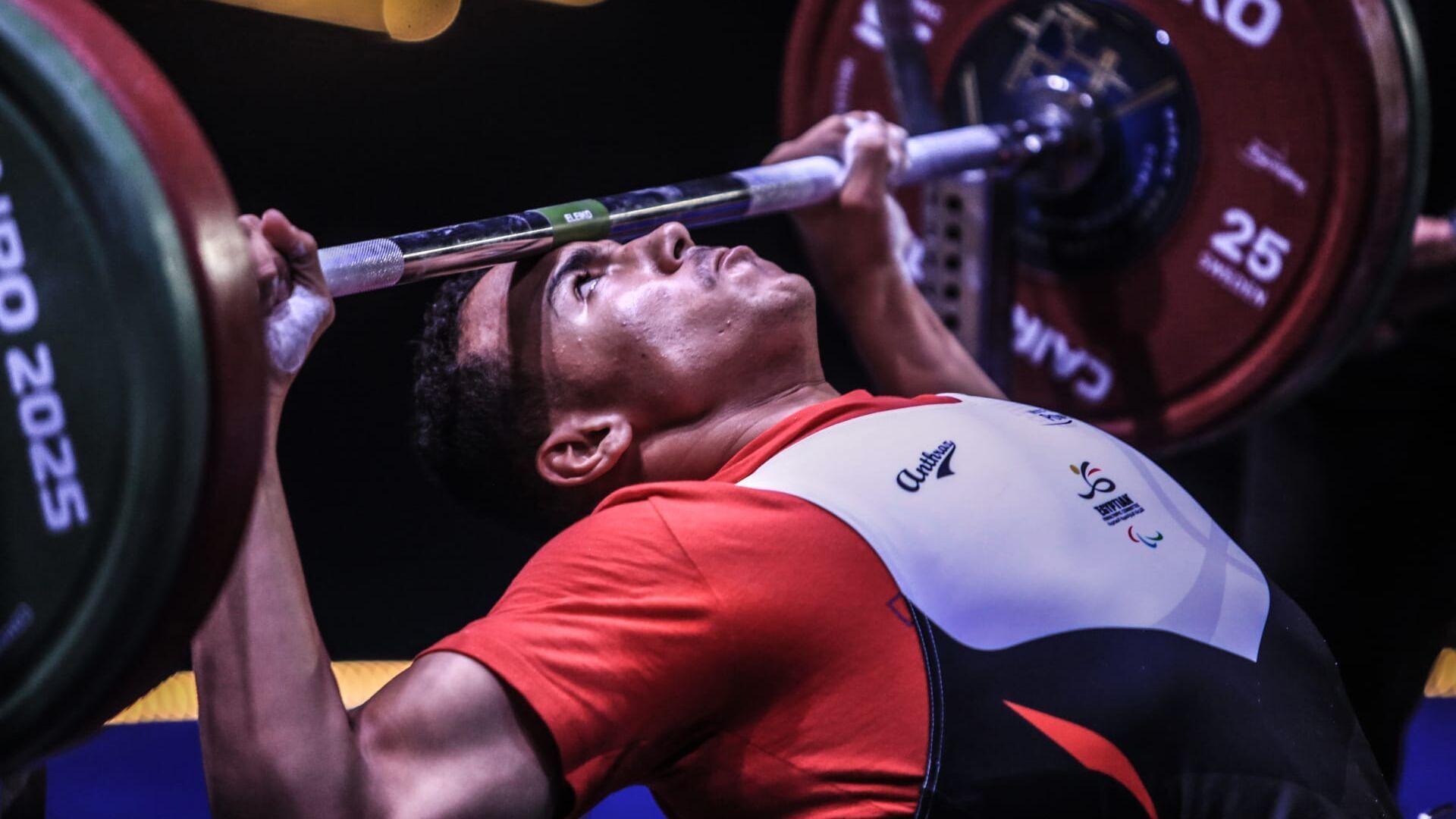 Force Athlétique : Championnats d'Europe classique