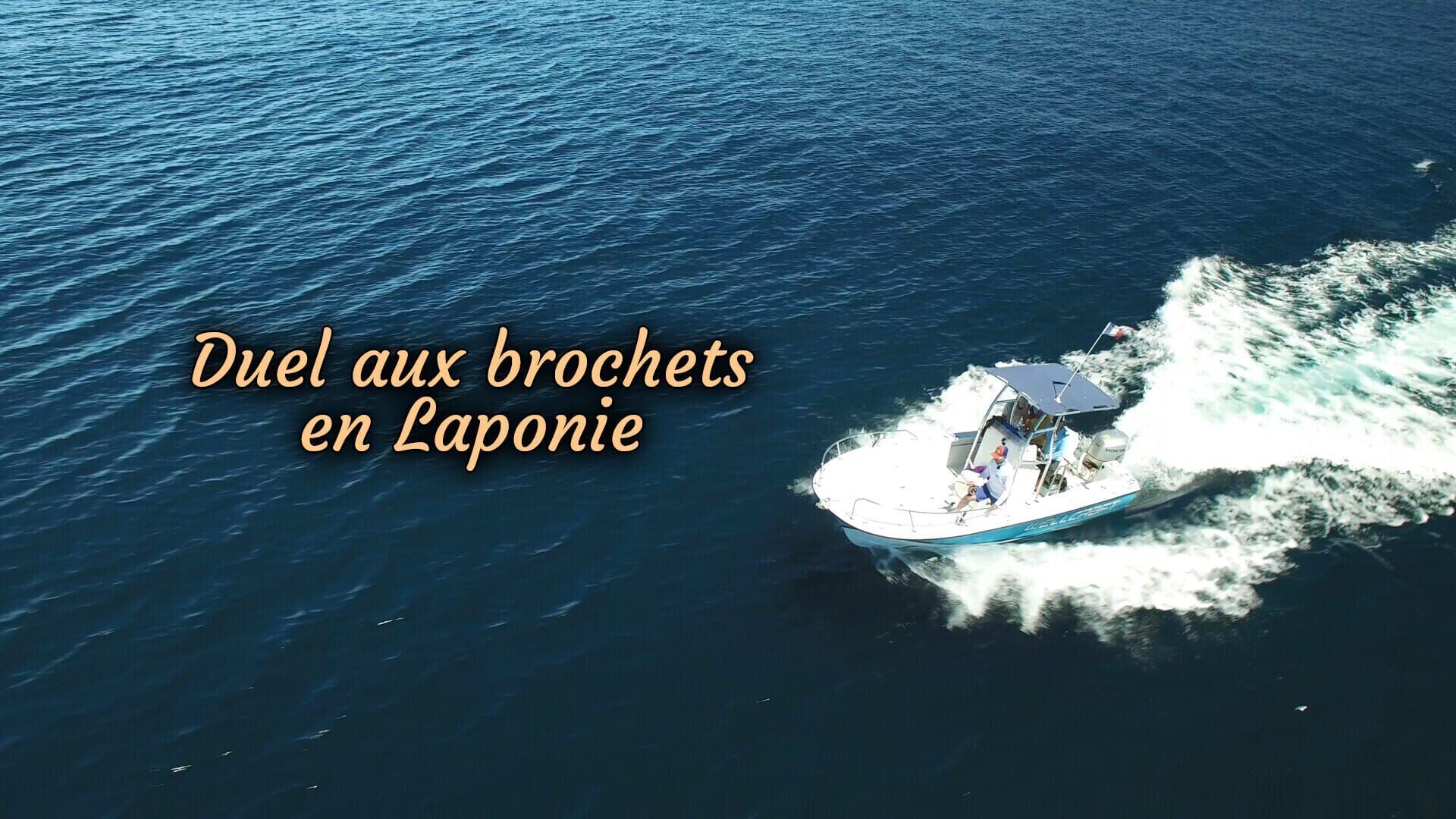 Duel aux brochets en Laponie