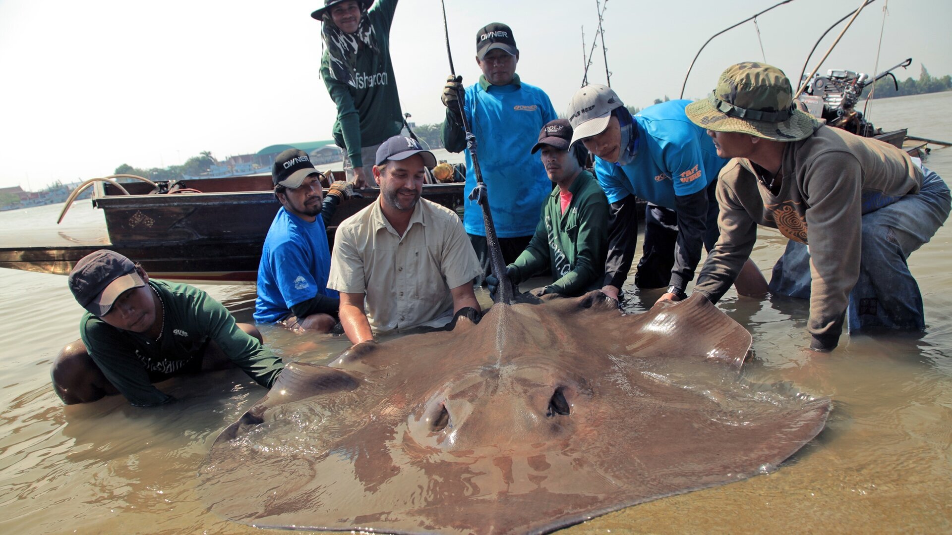 La plus grande raie du monde