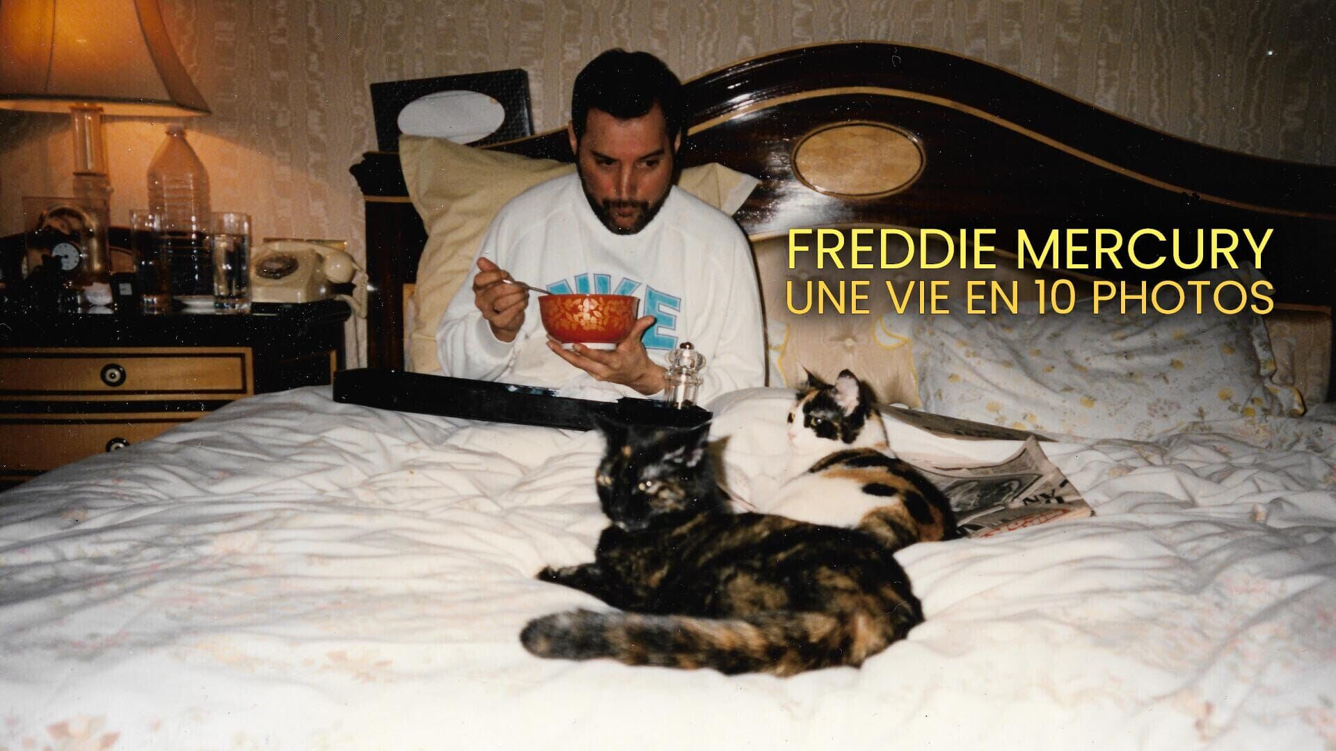 Freddie Mercury, une vie en 10 photos