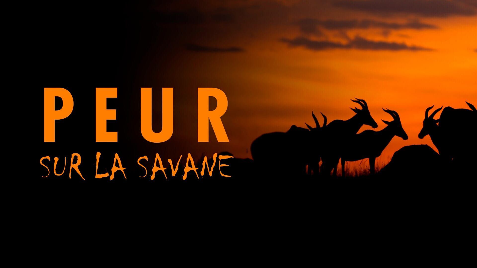 Peur sur la savane