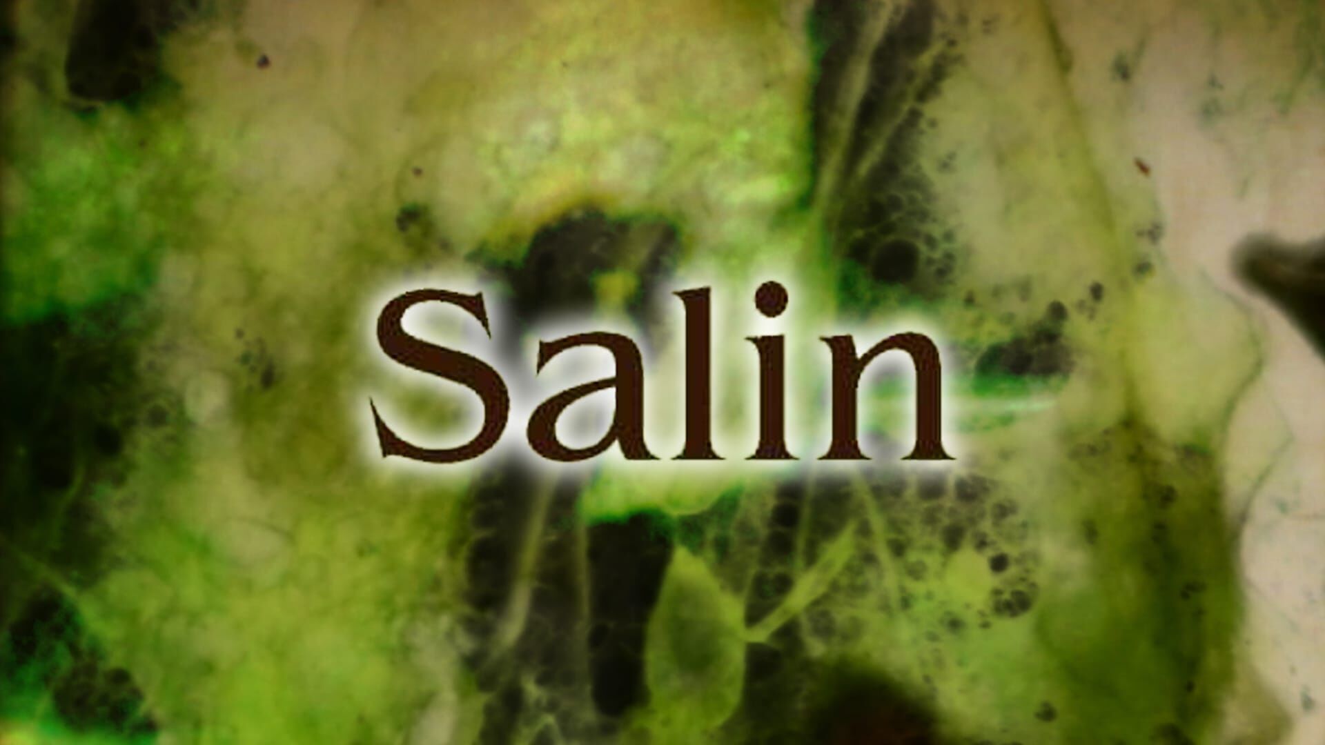 Salin