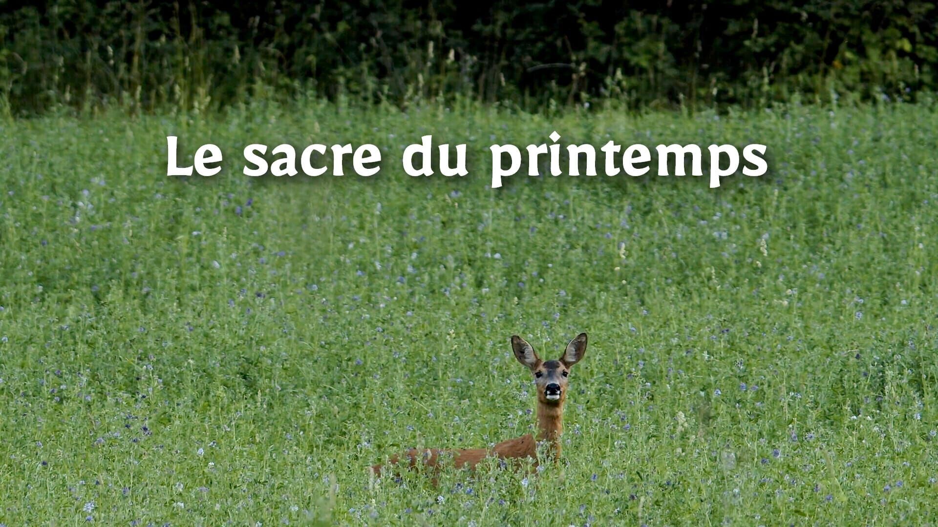 Le sacre du printemps