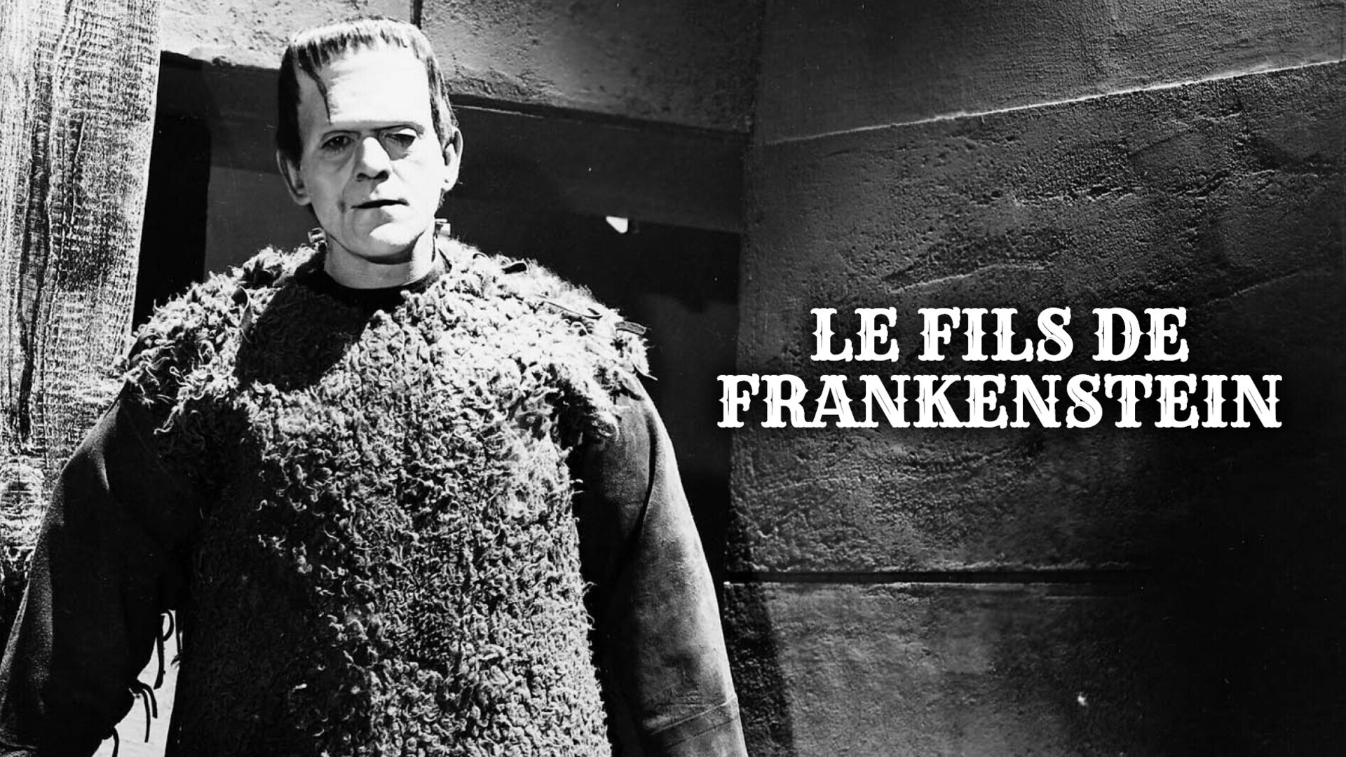 Le fils de Frankenstein