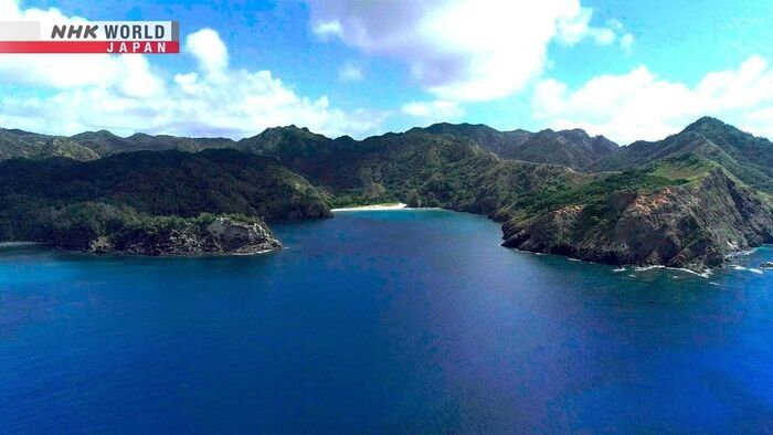 A Miraculous Paradise of Life: Ogasawara Islands