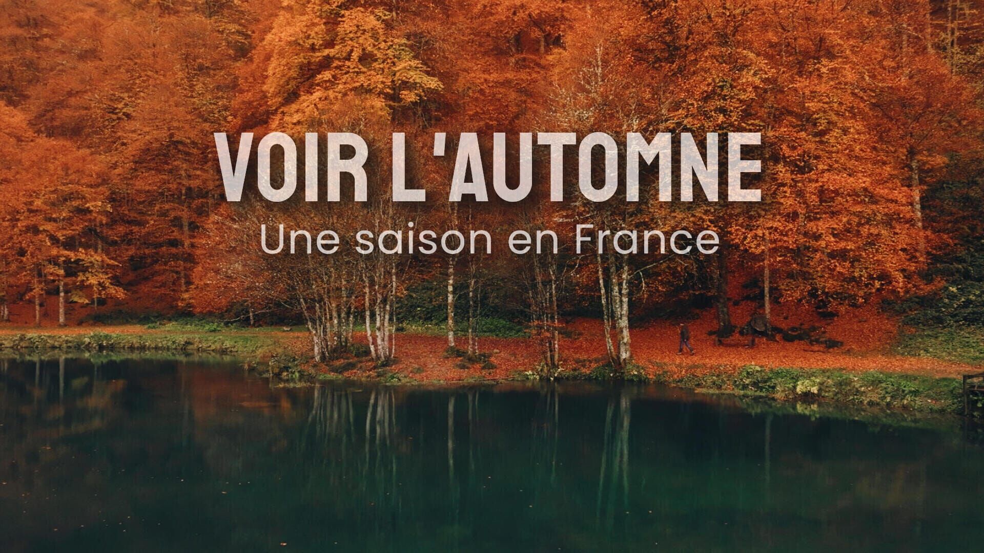 Voir l'automne, une saison en France