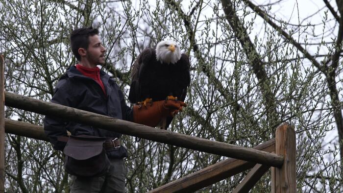 Une saison au zoo