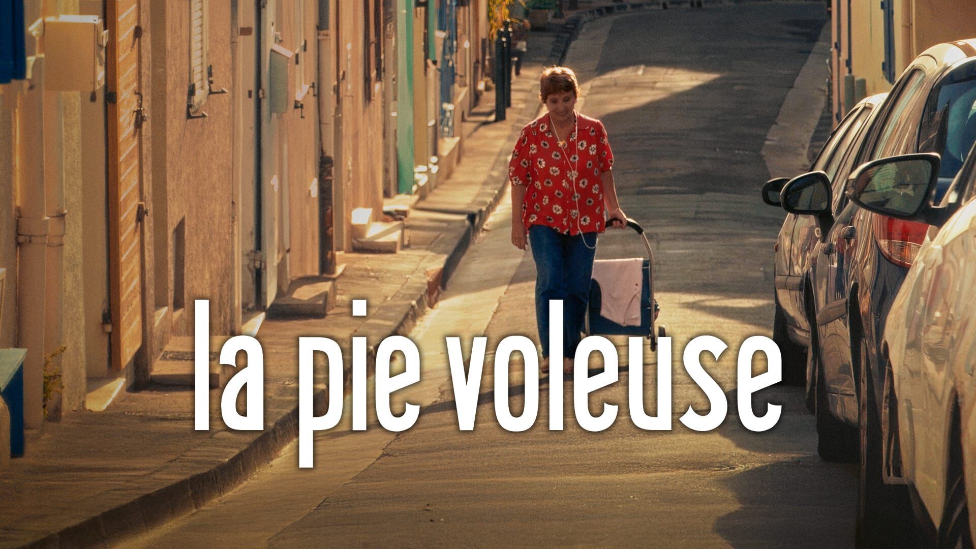 La Pie voleuse