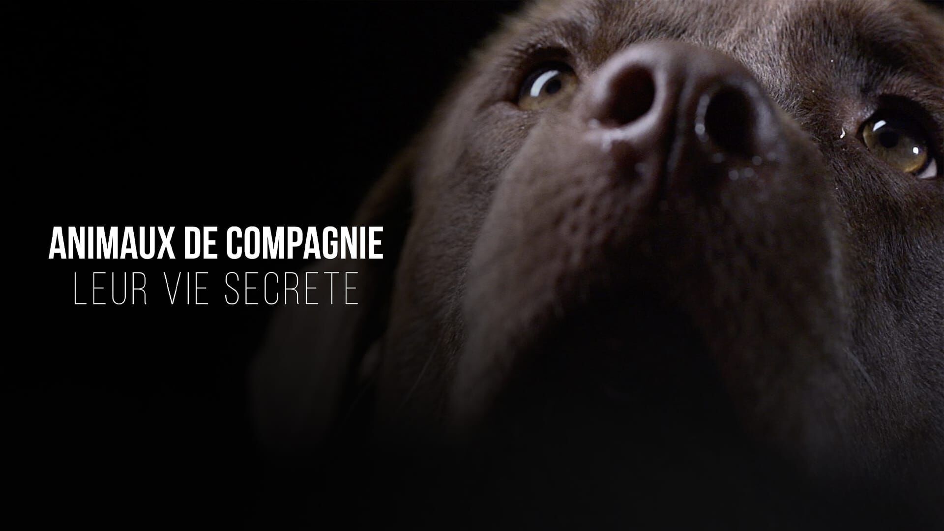 En compagnie des autres, deuxième partie
