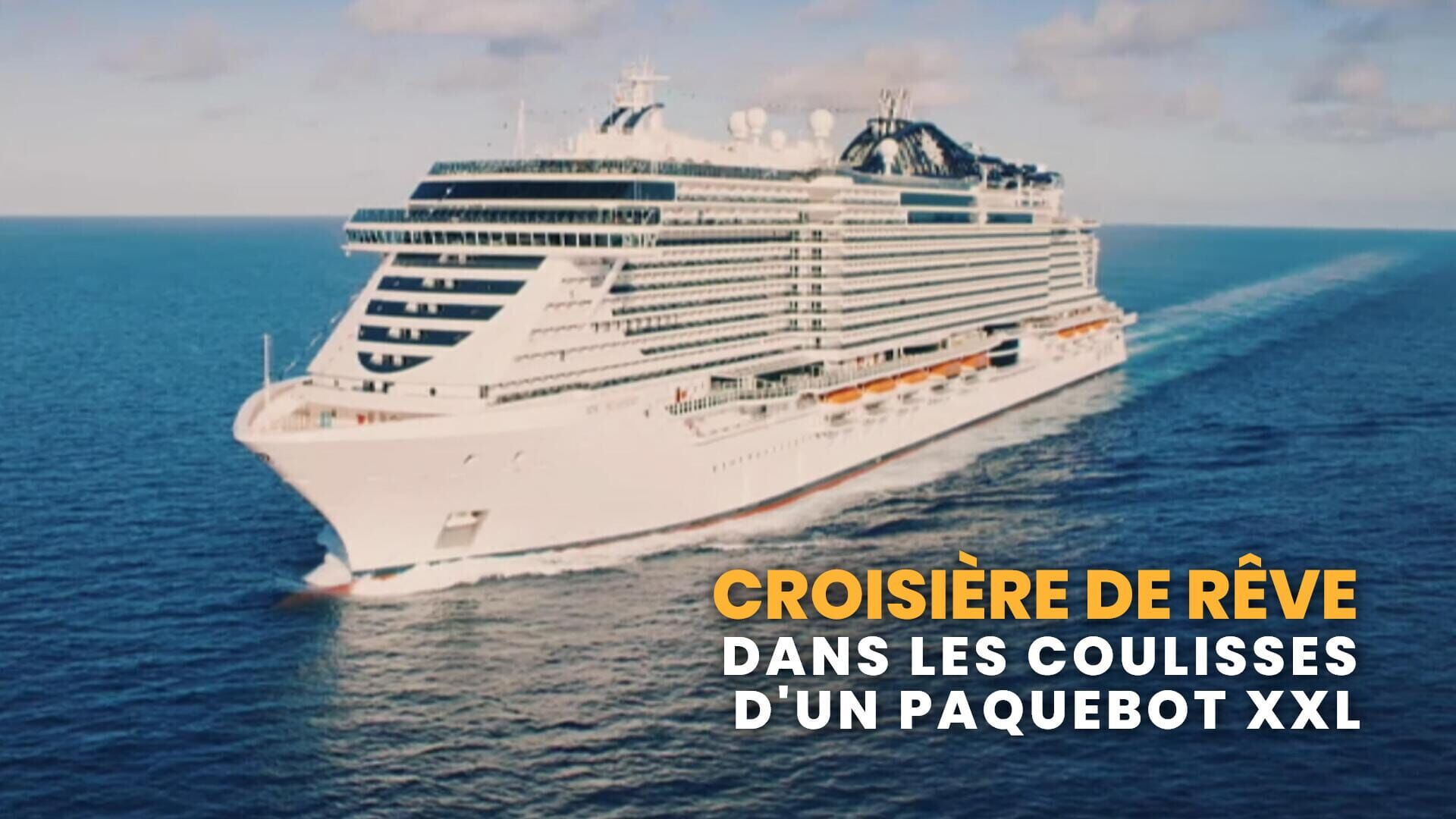 Croisière de rêve : dans les coulisses d'un paquebot XXL