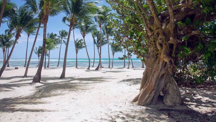 Spécial Guadeloupe