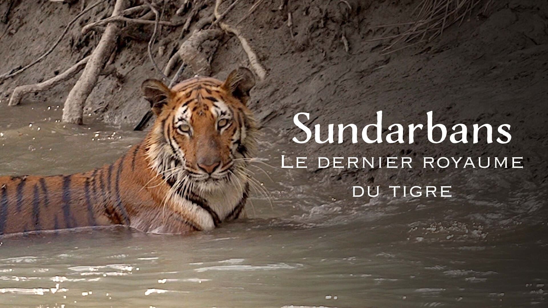 Sundarbans, le dernier royaume du tigre