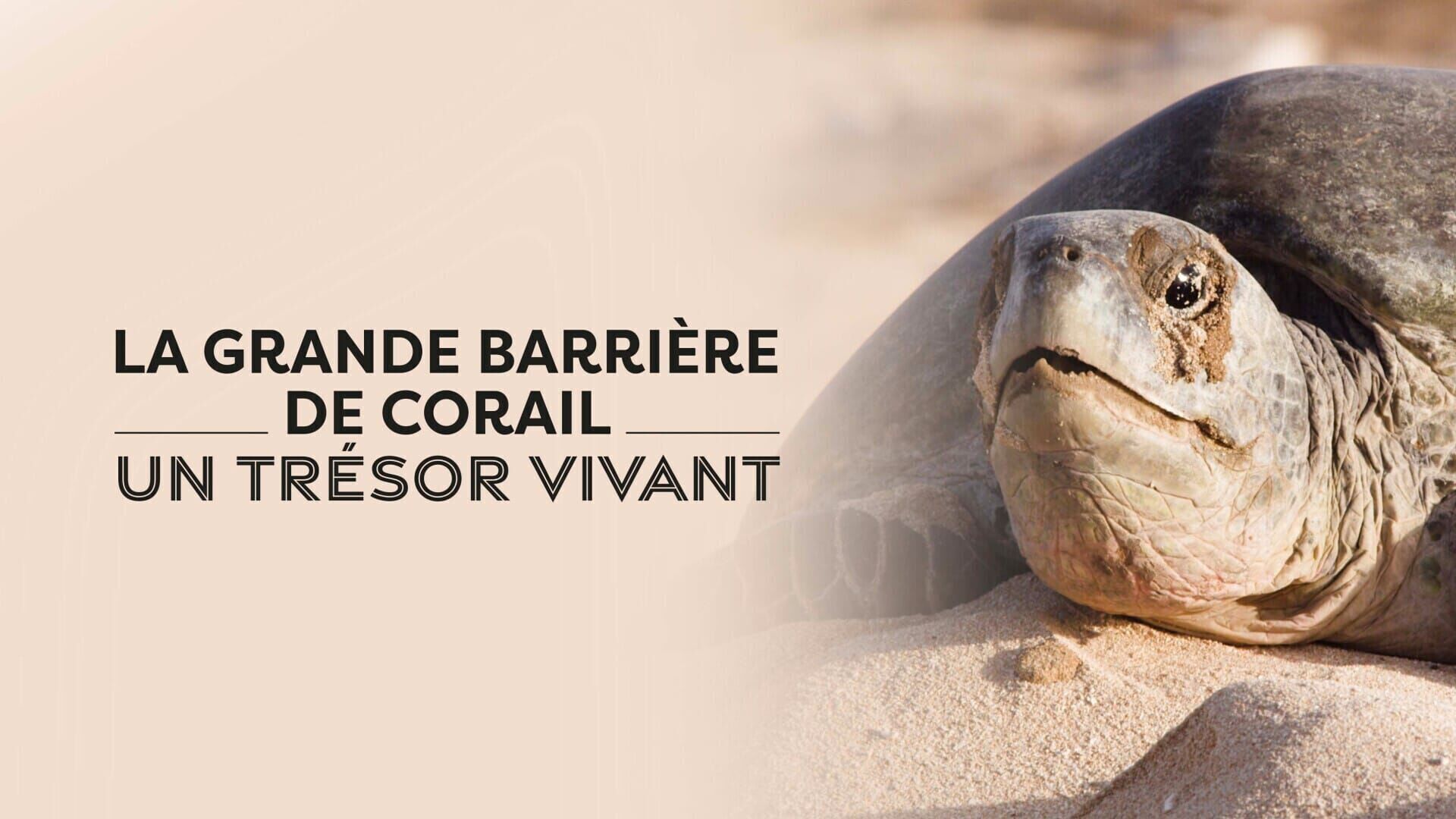 Un récif vivant
