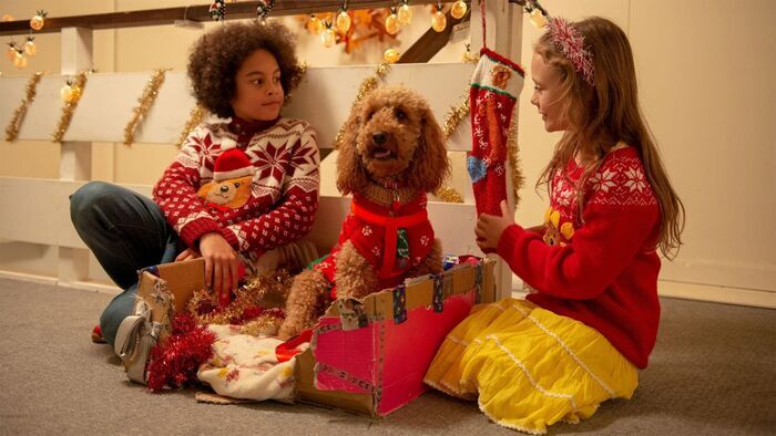 Le premier Noël de Waffle