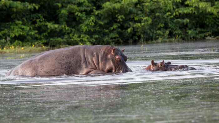Le sanctuaire d'Umphang en Thaïlande