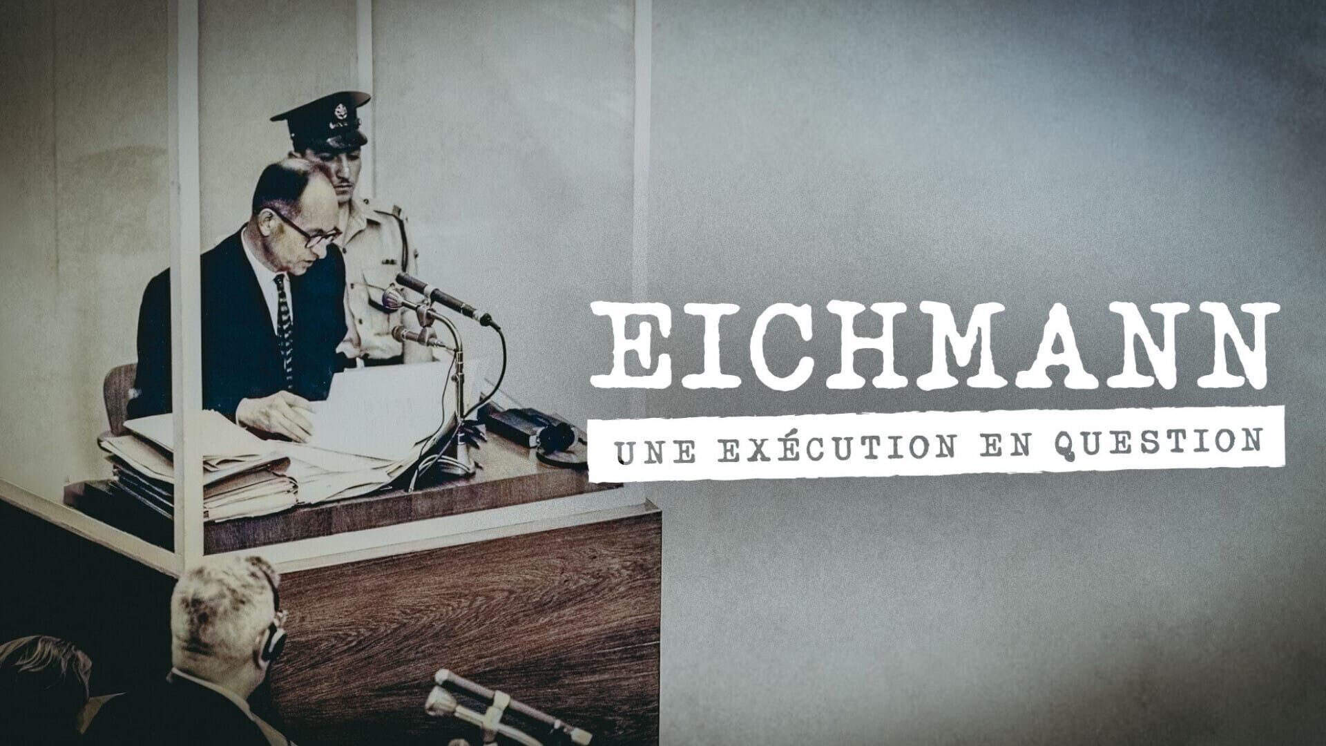 Adolf Eichmann, une exécution en question