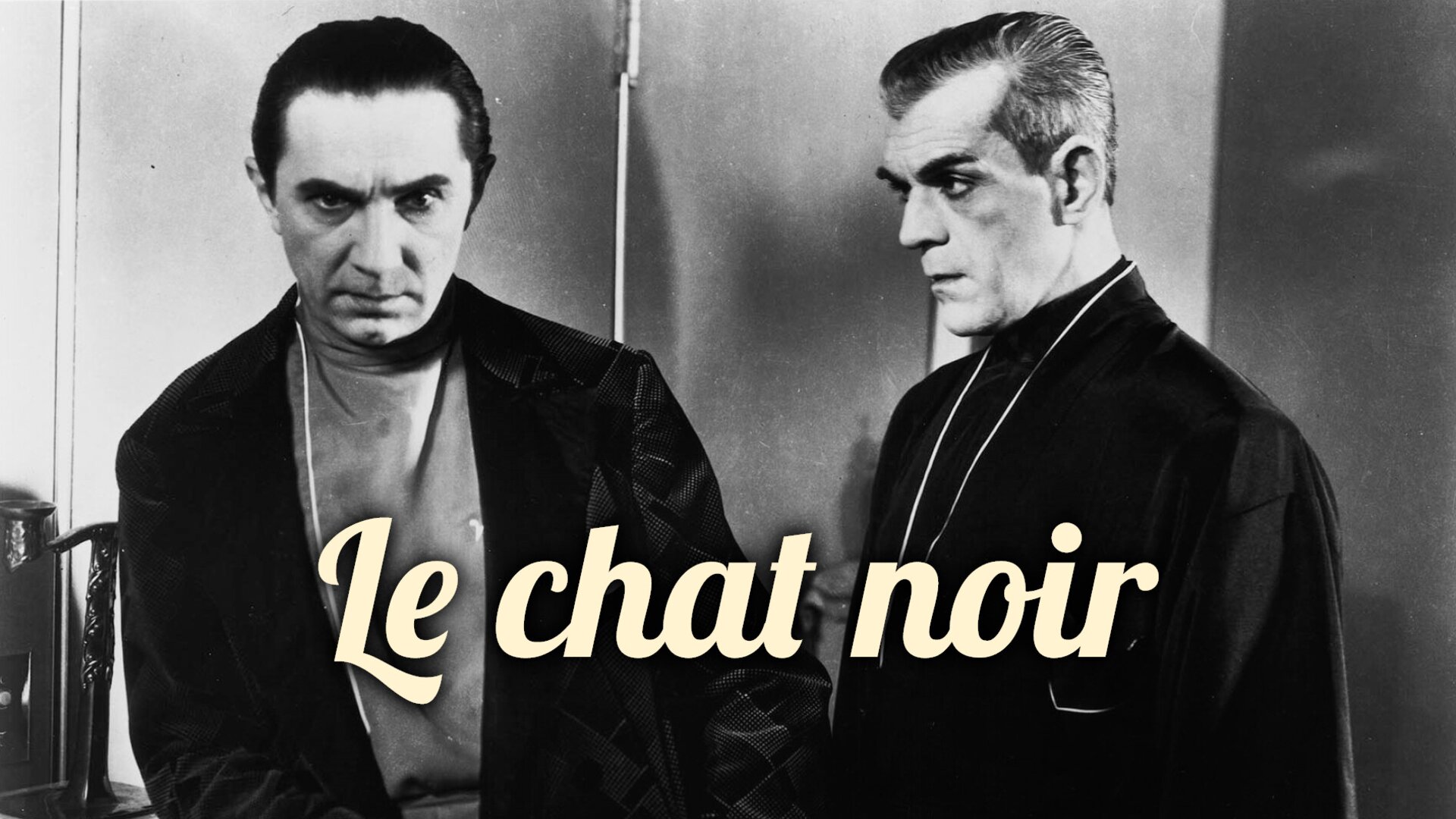 Le chat noir