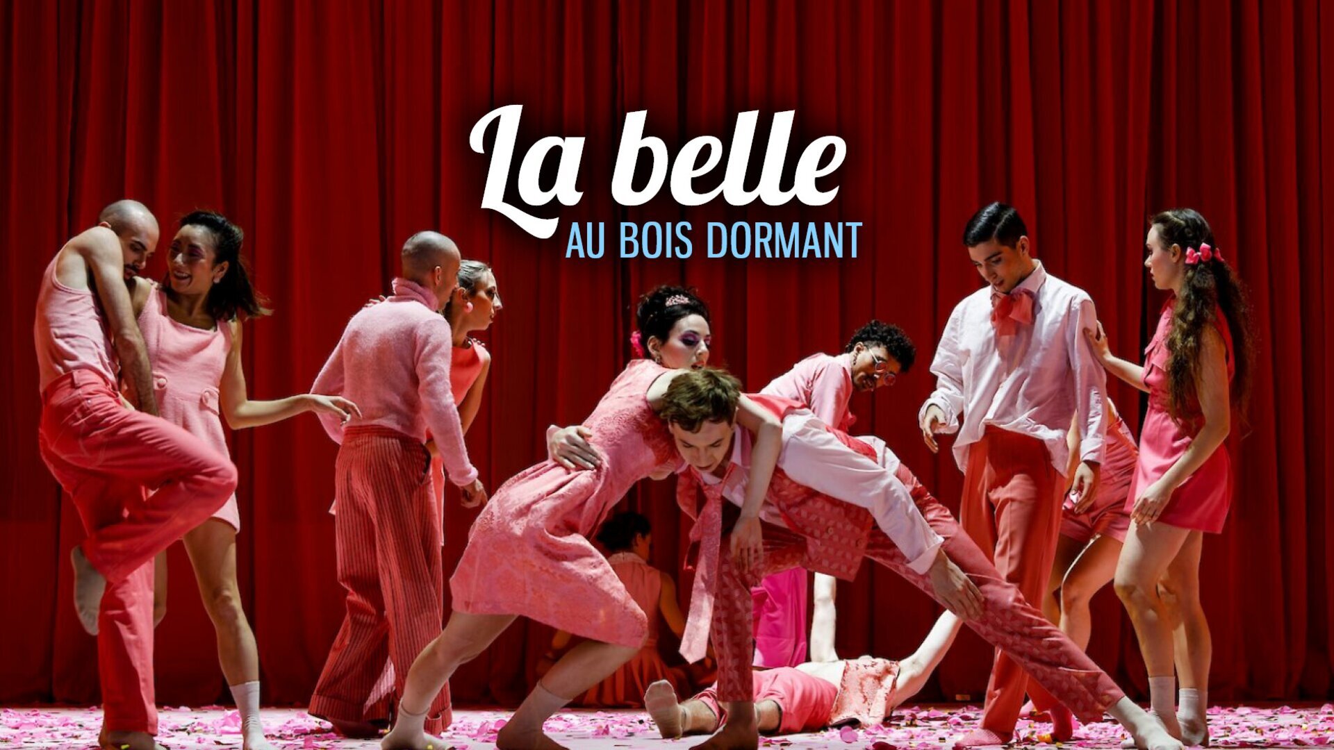 La belle au bois dormant