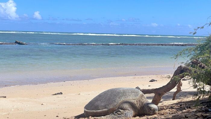 Maui et Molokai