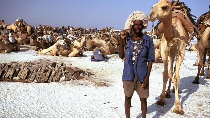 Le pays des origines (Ethiopie)
