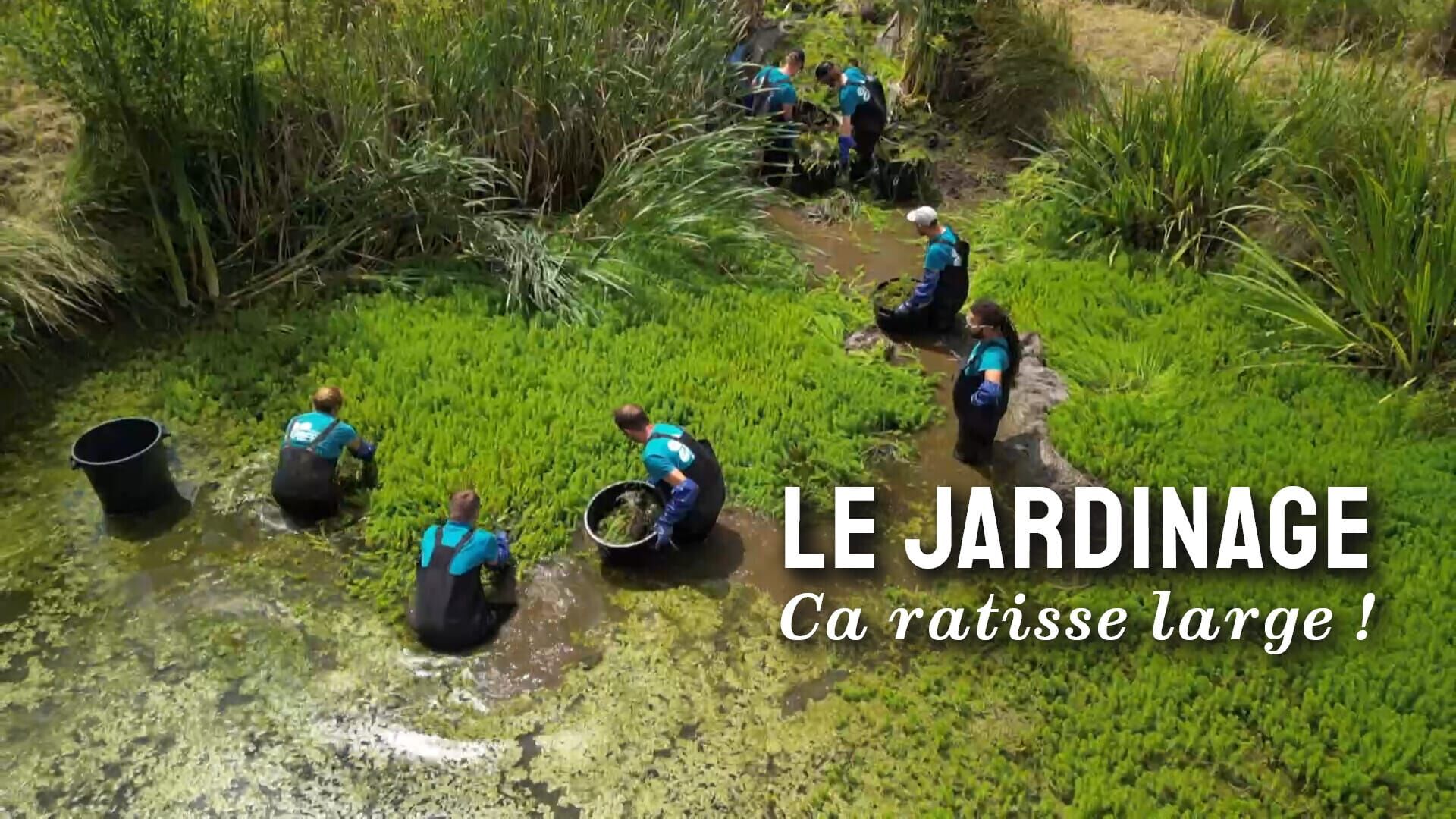 Le jardinage, ça ratisse large !