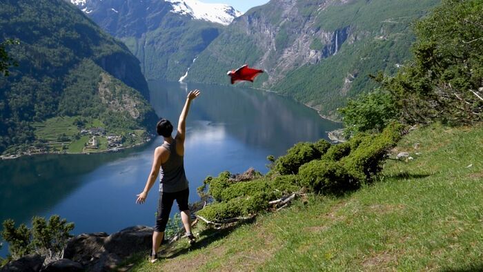 Fly