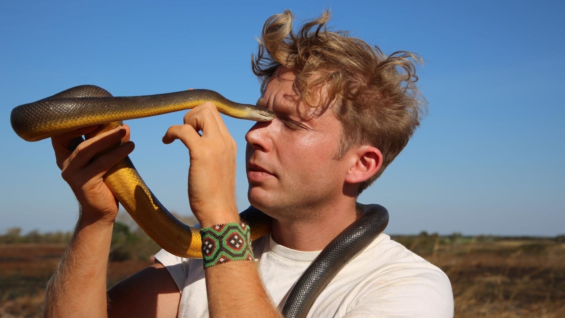 Combat de crocodiles