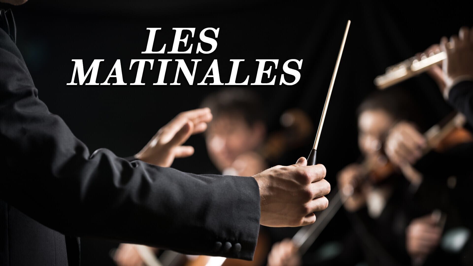Gérard Cause : Bach suites doc.29