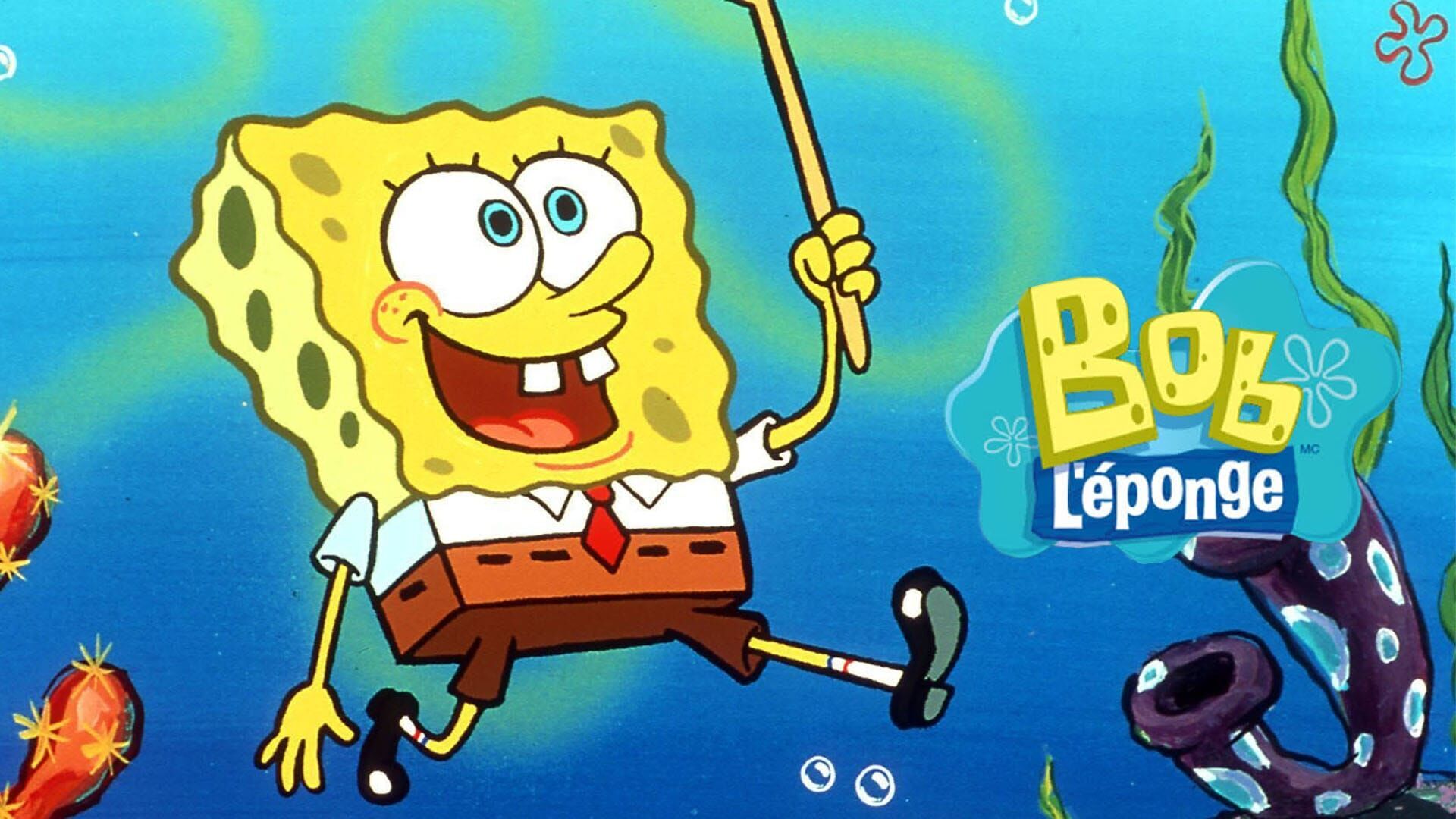 L'anniversaire de Pearl / L'île karaté