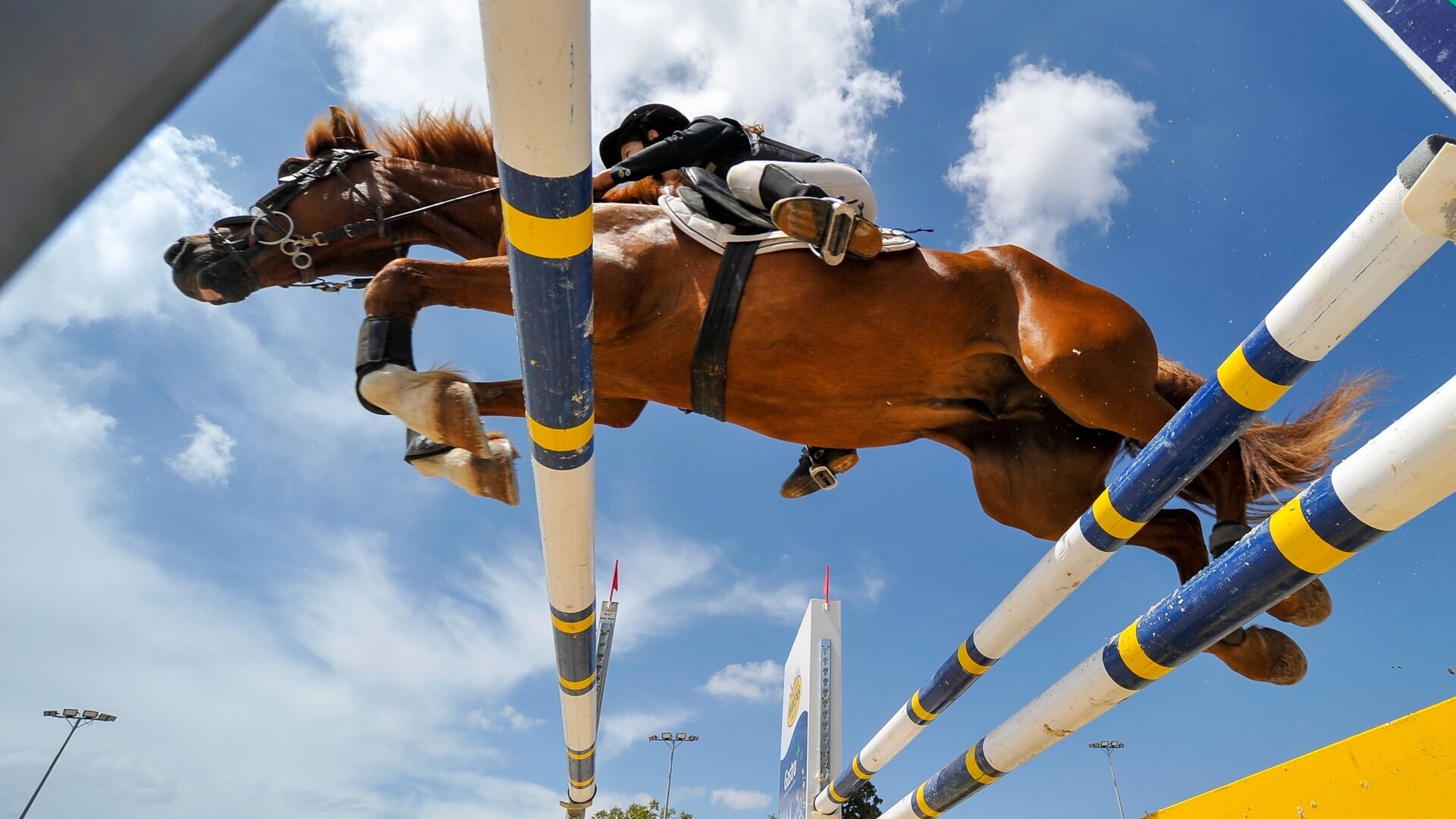 Equitation : Grand National FFE