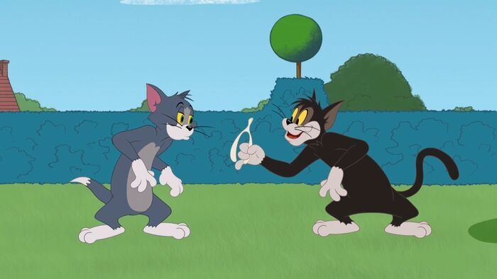 Deux chats pour un os