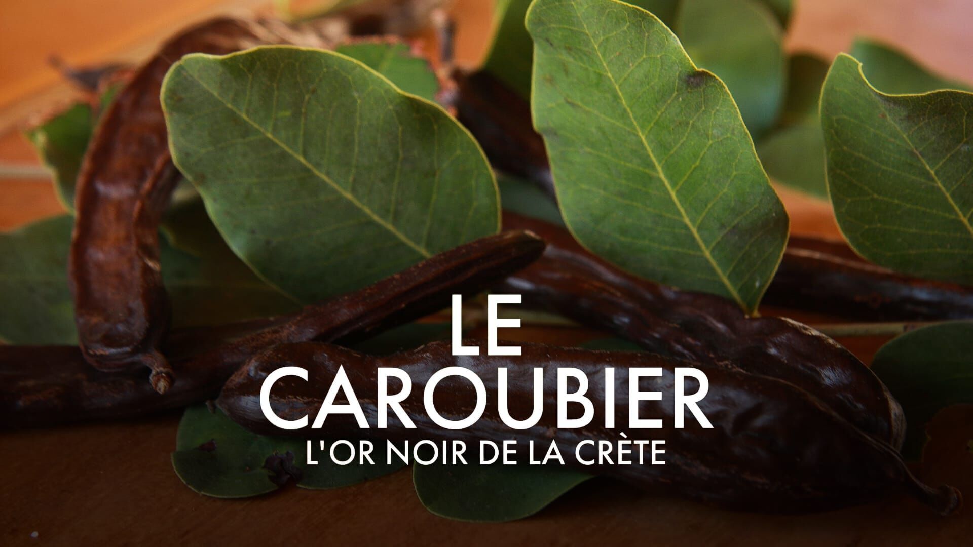 Le caroubier, l'or noir de la Crète