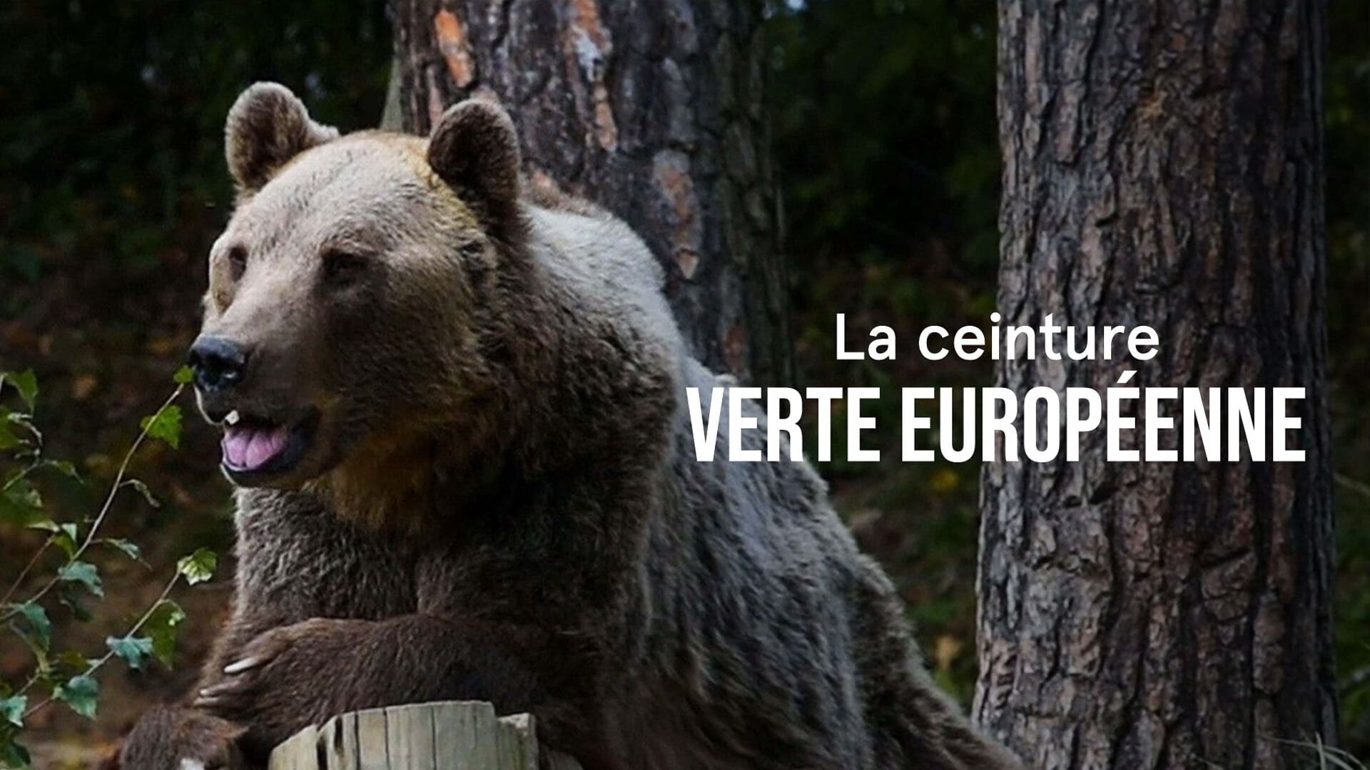 De la Norvège aux Pays baltes