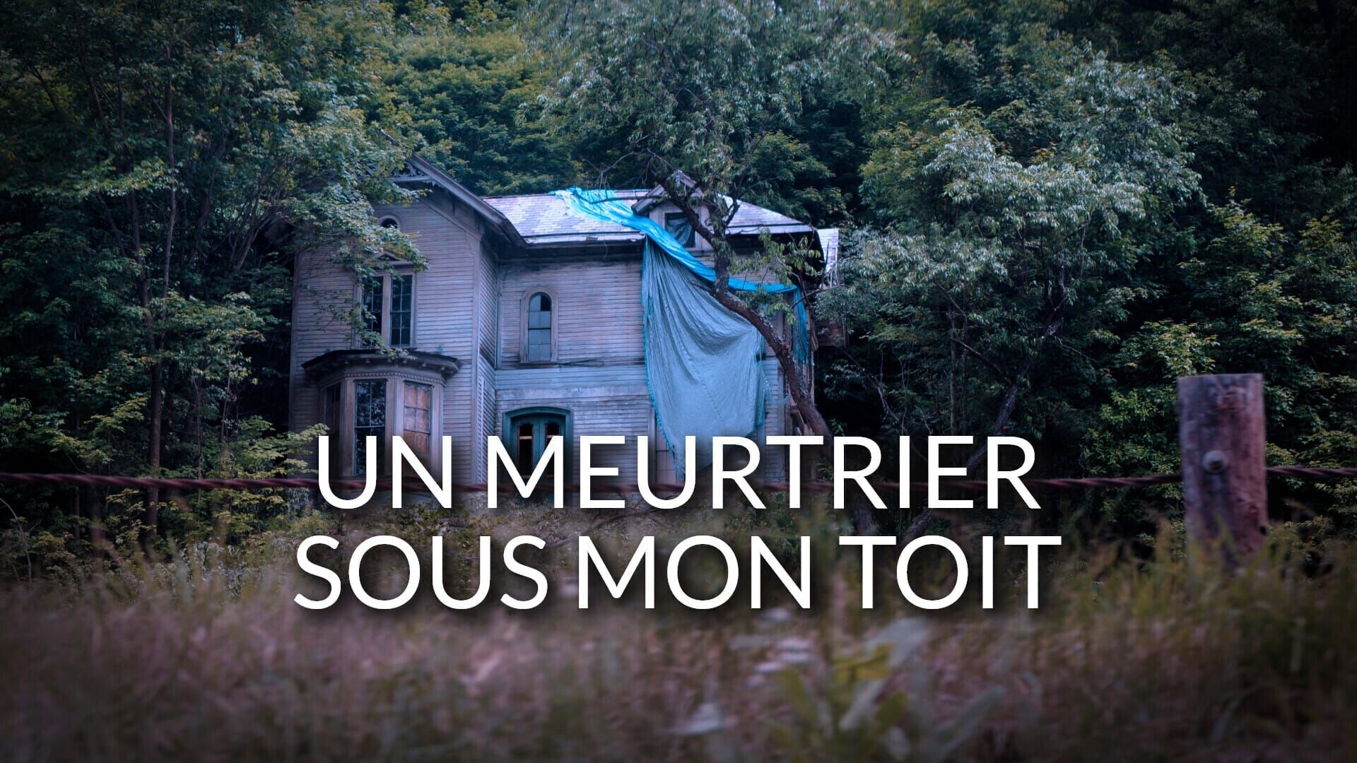 Dans le garde-meubles