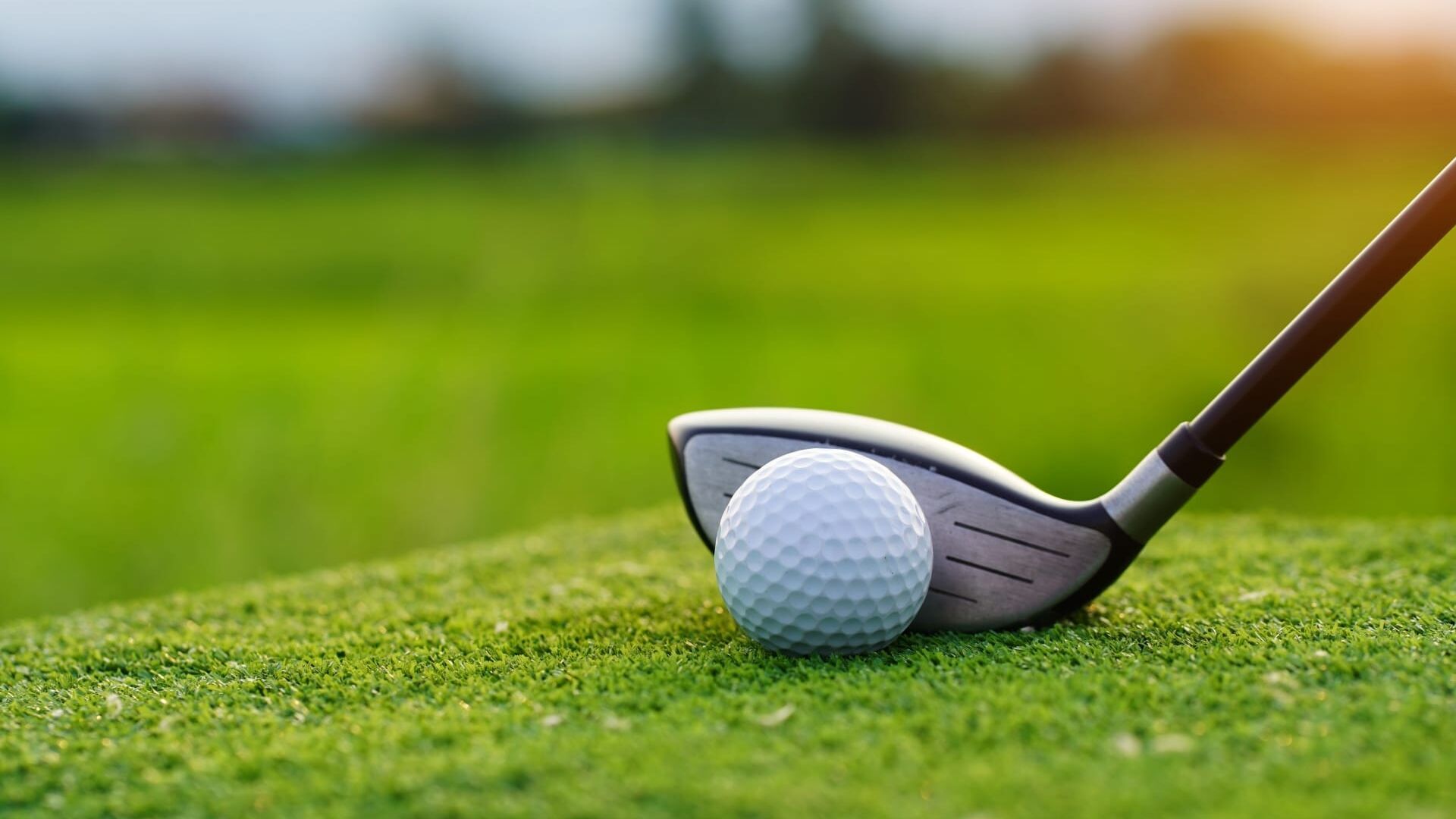 La Paris Golf Gallery