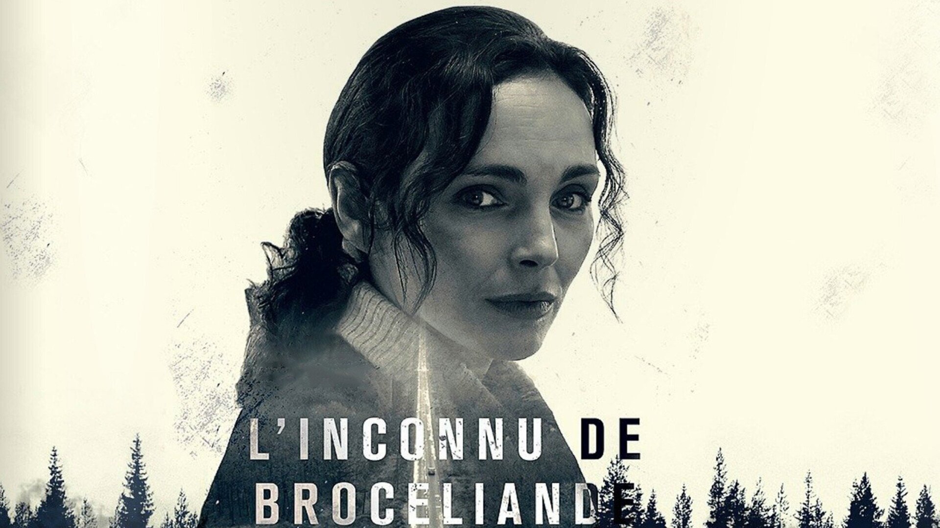 L'inconnu de Brocéliande