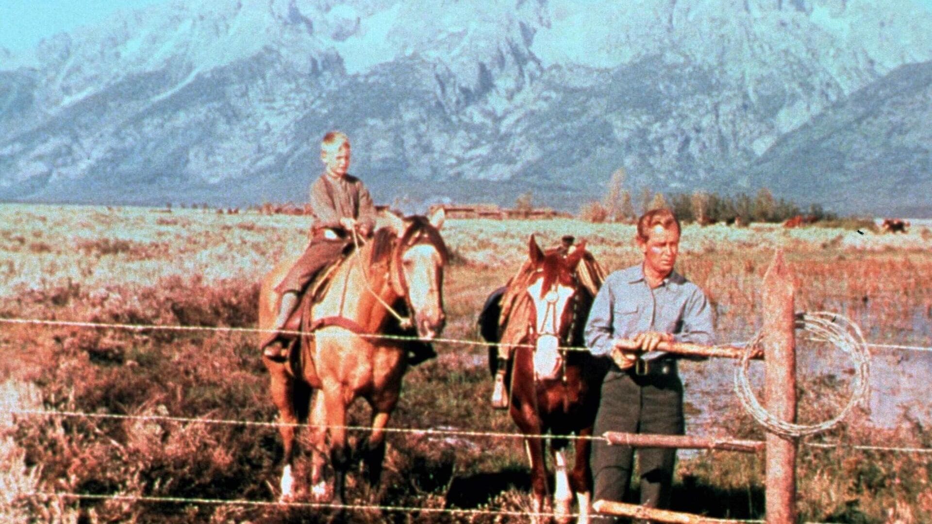L'homme des vallées perdues