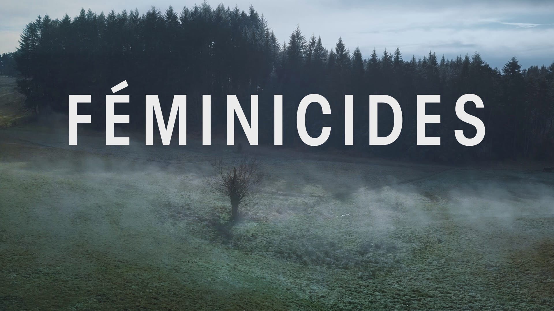 Féminicides